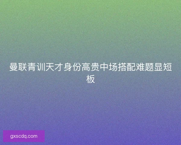 曼联青训天才身份高贵中场搭配难题显短板